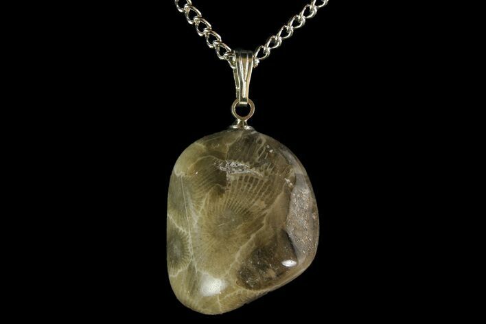 Polished Petoskey Stone (Fossil Coral) Necklace - Michigan #156178